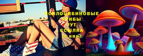 мдпв Абинск