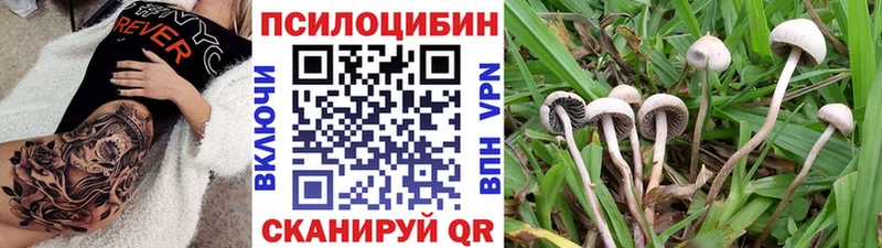 где купить наркоту  Дрезна  даркнет телеграм  Псилоцибиновые грибы мицелий  ОМГ ОМГ маркетплейс 